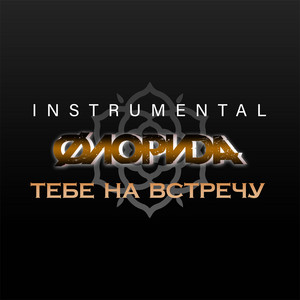 Тебе навстречу (Instrumental)